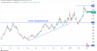شارت سعر الغاز الطبيعى