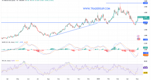 شارت سعر الغاز الطبيعى