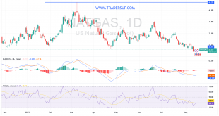 شارت سعر الغاز الطبيعى