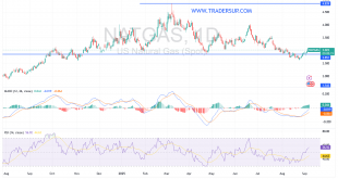شارت سعر الغاز الطبيعى