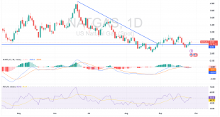 شارت سعر الغاز الطبيعى