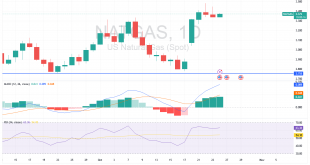 شارت سعر الغاز الطبيعى