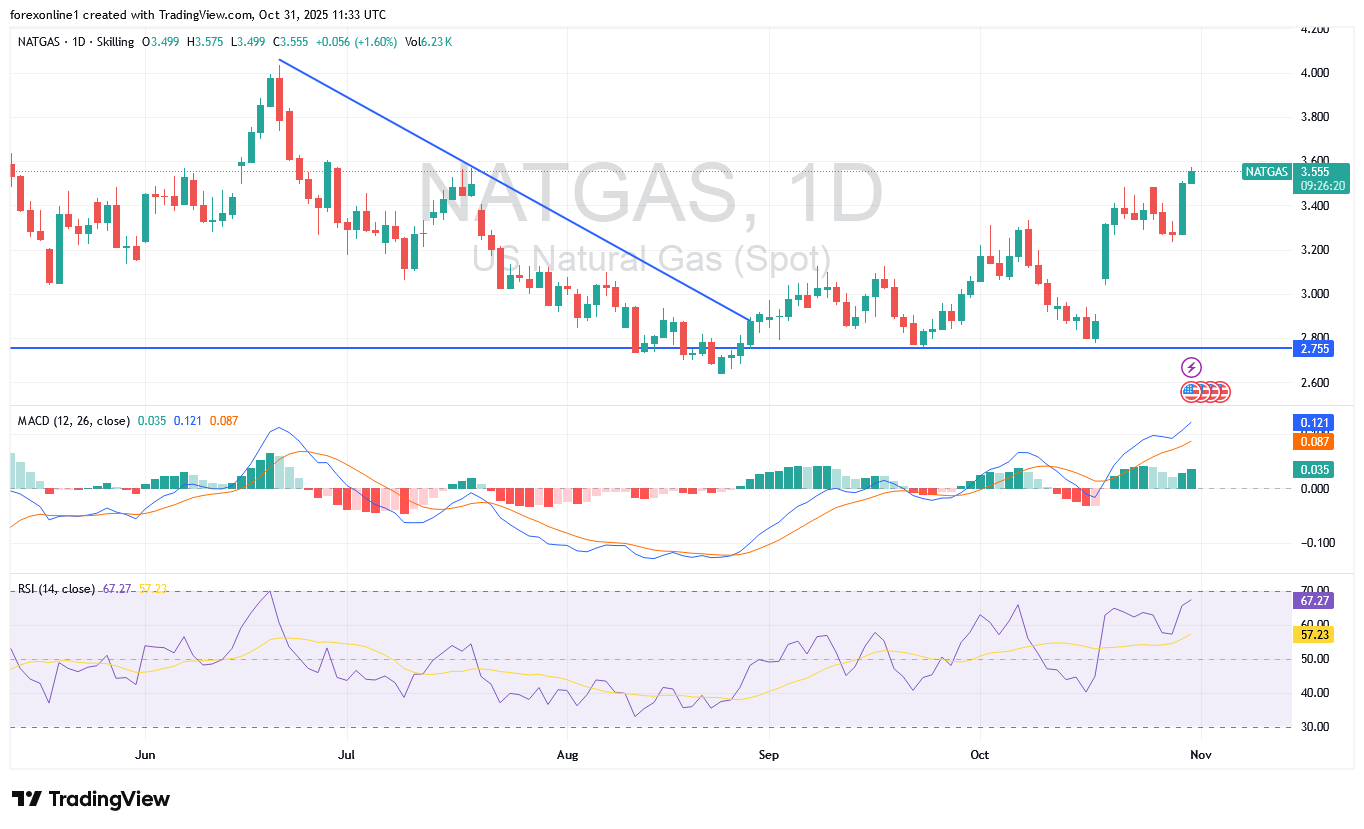 أسعار الغاز الطبيعى تقفز الى الاعلى منذ 4 شهور فهل يمكن البيع ؟