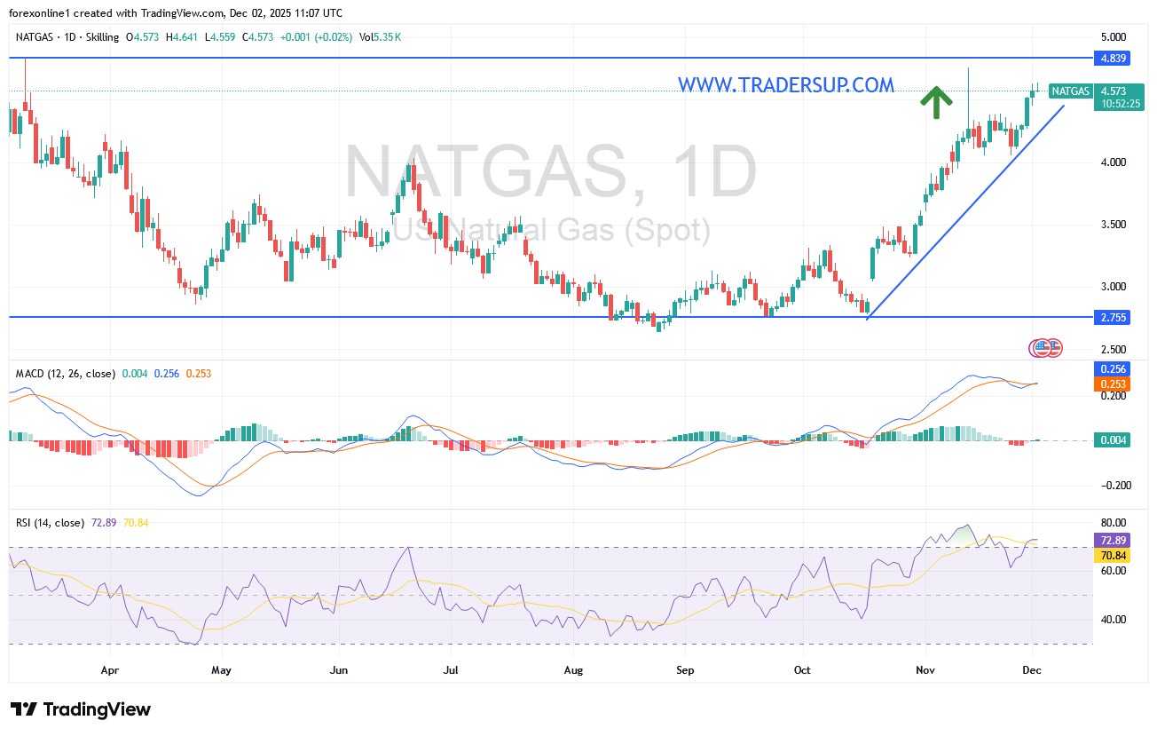 شارت سعر الغاز الطبيعى