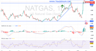 شارت سعر الغاز الطبيعى