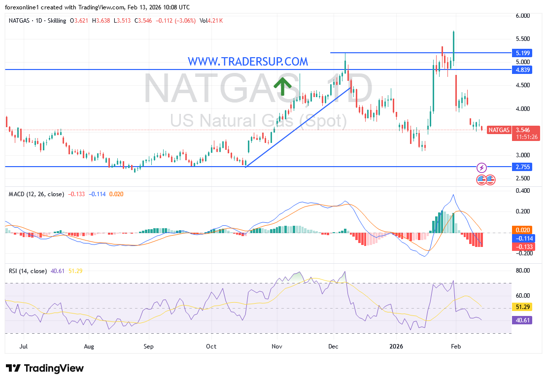 تحليل أسعار الغاز الطبيعي: الهبوط الأكبر منذ شهر يعيد تقييم السوق