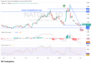 شارت سعر الغاز الطبيعى