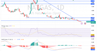 شارت سعر الغاز الطبيعى