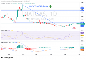 شارت سعر الغاز الطبيعى