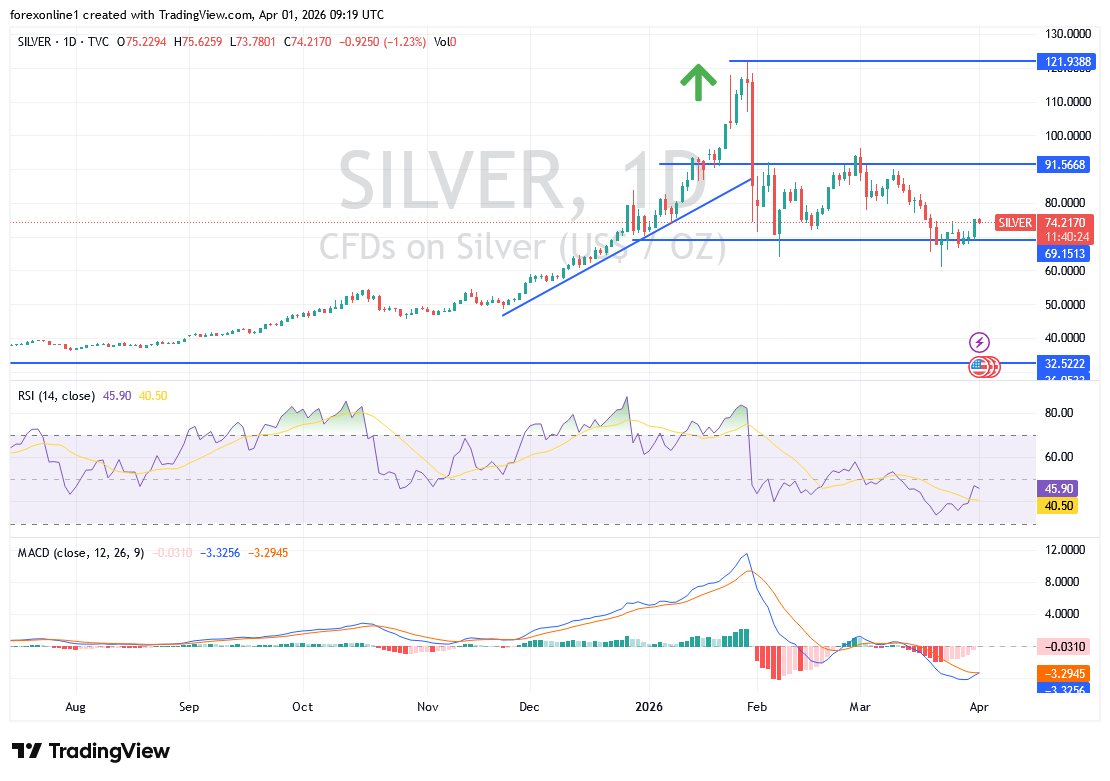 تحليل أسعار الفضة القادمة: صراع حاسم عند مستوى 80 دولار – هل نشهد الاختراق؟