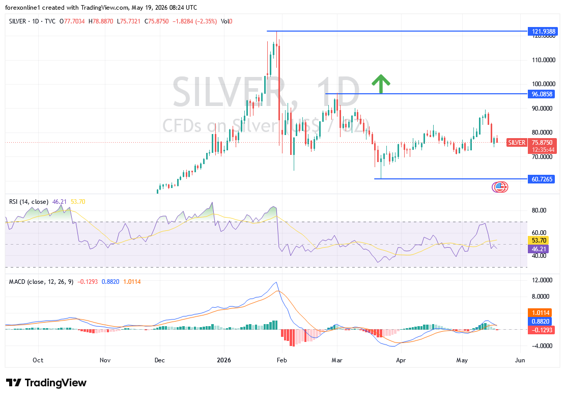 توقعات سعر الفضة XAG/USD اليوم: هل ينجح في استعادة الزخم فوق 80 دولارًا؟
