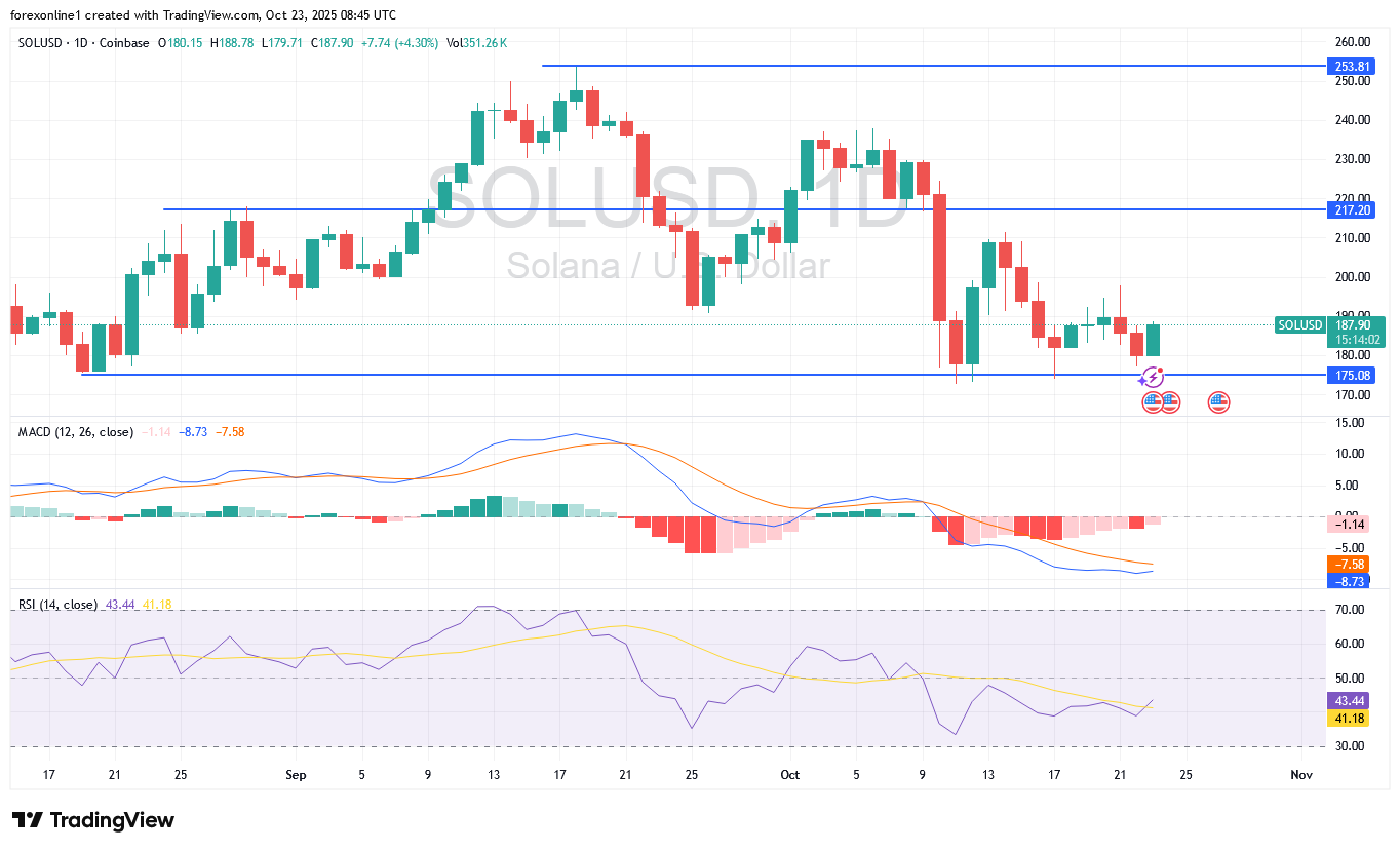 شارت عملة سولانا دولار