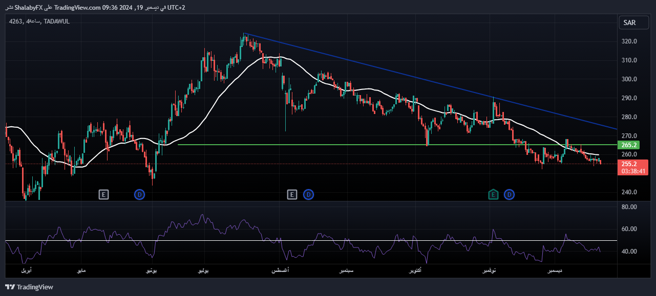 سعر سهم شركة سال السعودية في بورصة تداول اليوم