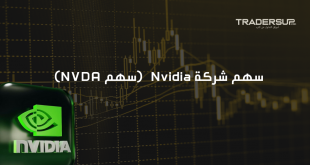 سهم شركة Nvidia (سهم NVDA)