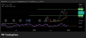 شارت سهم القاهرة للدواجن