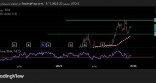 شارت سهم القاهرة للدواجن