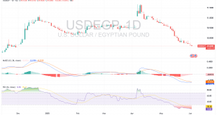 شارت الدولار مقابل الجنيه المصرى