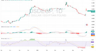 شارت الدولار الامريكى مقابل الجنيه المصرى