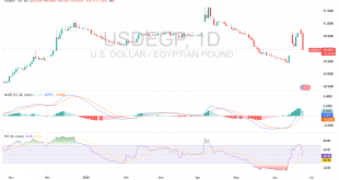 شارت الدولار الامريكى مقابل الجنيه المصرى