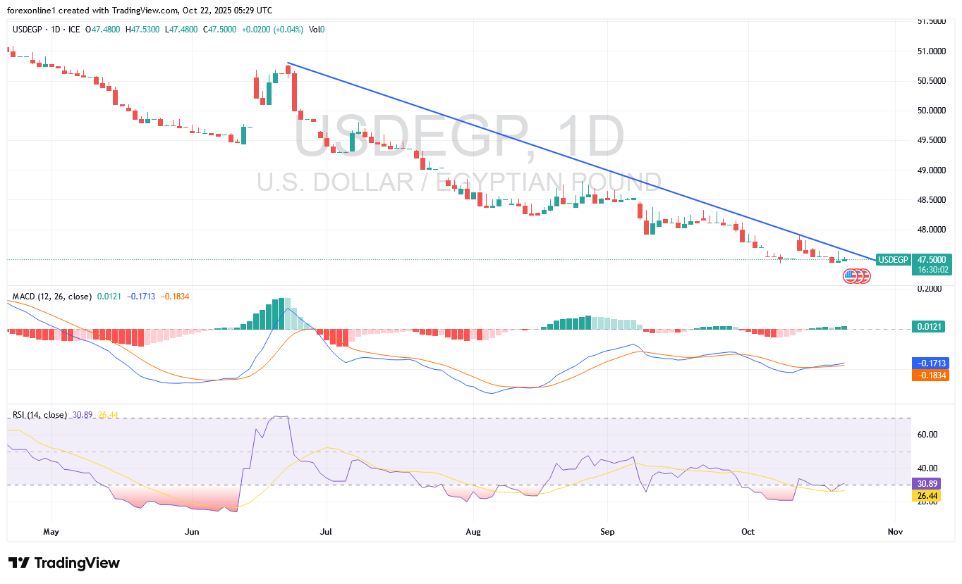 الدولار الأمريكي يواصل صعوده أمام الجنيه المصري: هل يستمر الاتجاه الصعودي؟