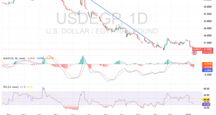 شارت زوج الدولار مقابل الجنيه المصرى