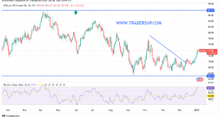 شارت سعر النفط الخام