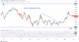شارت سعر النفط