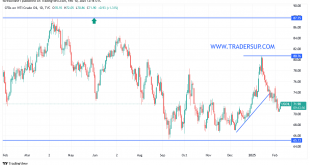 شارت سعر النفط
