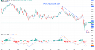 شارت سعر النفط الخام