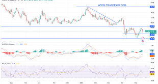 شارت سعر النفط الخام