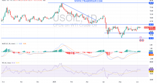 شارت سعر النفط الخام