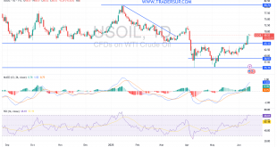 شارت سعر النفط الخام