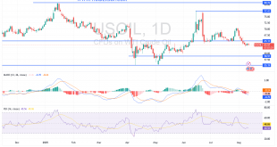 شارت سعر النفط الخام