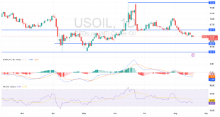سعر النفط الخام