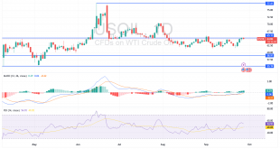 شارت سعر النفط الخام