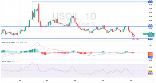 شارت سعر النفط الخام