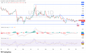 شارت سعر النفط الخام