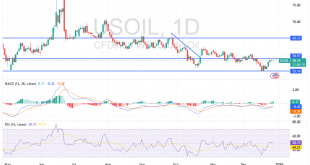 شارت سعر النفط