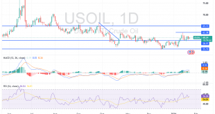 شارت سعر النفط الخام