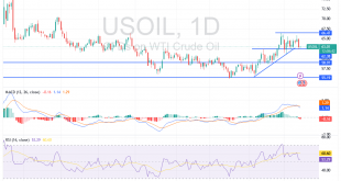 شارت سعر النفط
