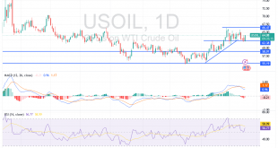 شارت سعر النفط الخام