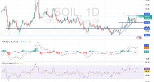 شارت سعر النفط الخام