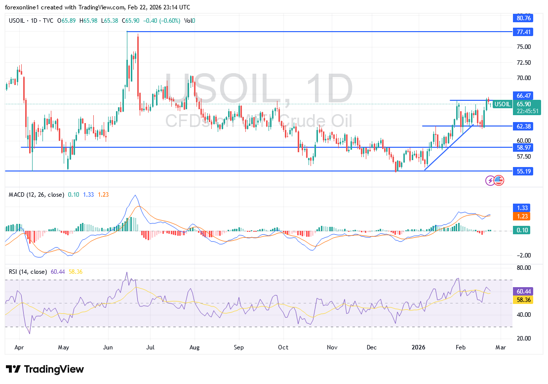 شارت سعر النفط الخام