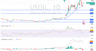 شارت سعر النفط