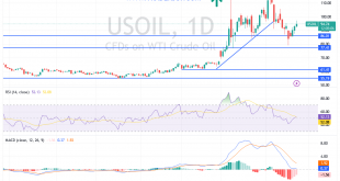 شارت سعر النفط الخام