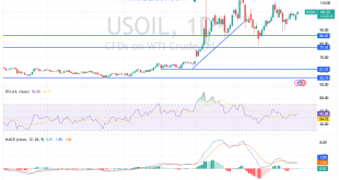 شارت سعر النفط