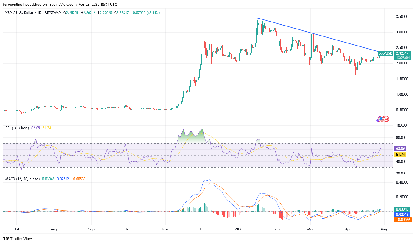 توقعات عملة الريبل XRP الهبوطية الى أين ؟