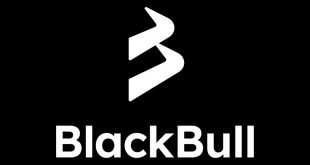 blackbull logo