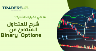 ما هي الخيارات الثنائية؟