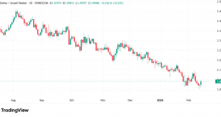 شارت الدولار / شيكل